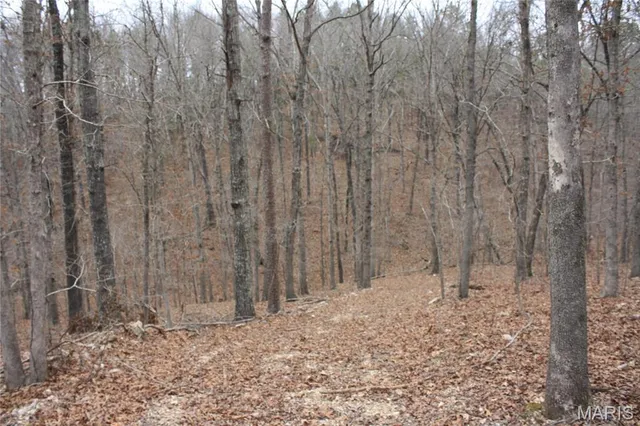 $44,000 | 0 Carter 154, Fremont, MO 63941