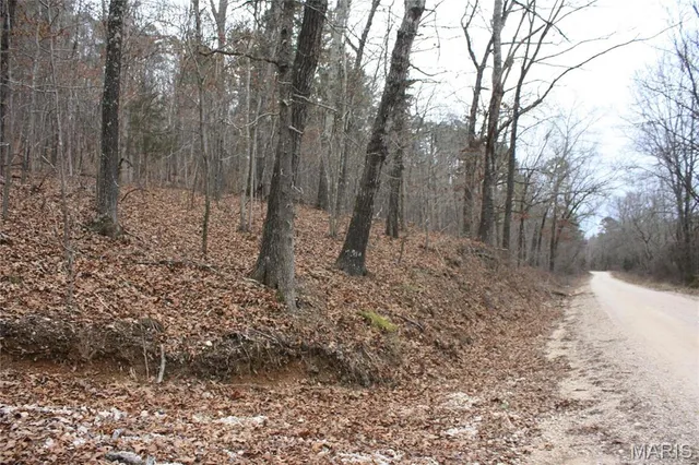 $44,000 | 0 Carter 154, Fremont, MO 63941