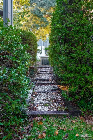 a view of a pathway of flower plants