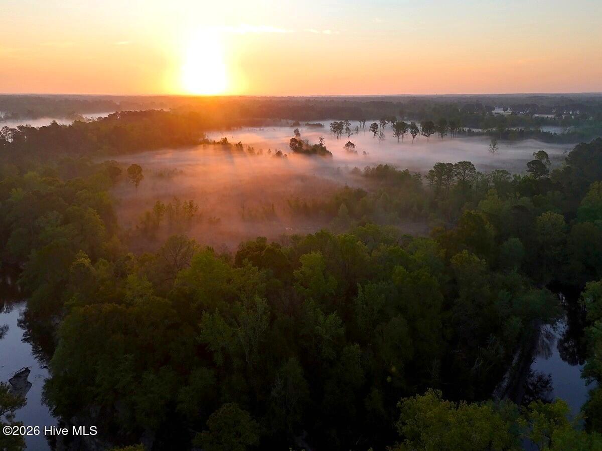 0 Durwood Evans Road Beulaville, NC 28518 - Photo 41 of 68 41. Riverfront Overview