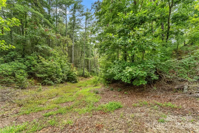 a view of backyard with green space