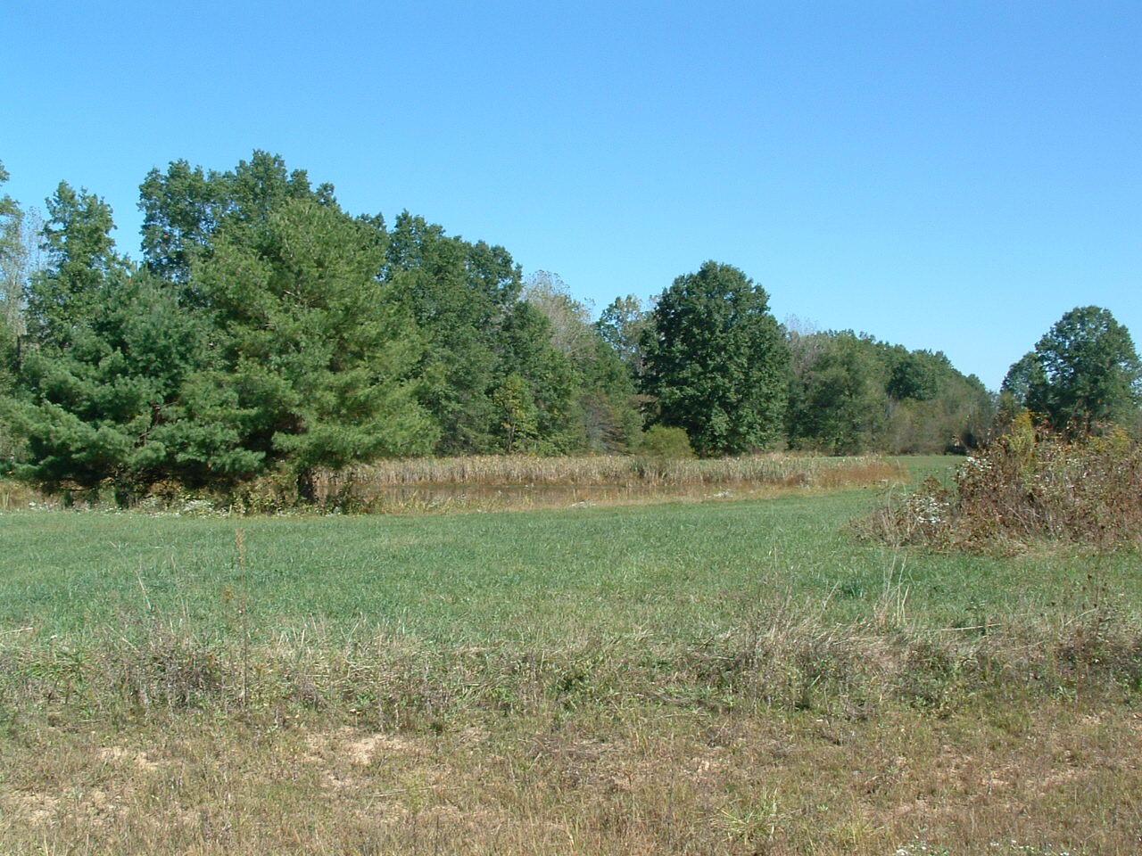 0 Nichols Lane Road Northwest Johnstown, OH 43031 - Photo 6 of 22 DSCF0002