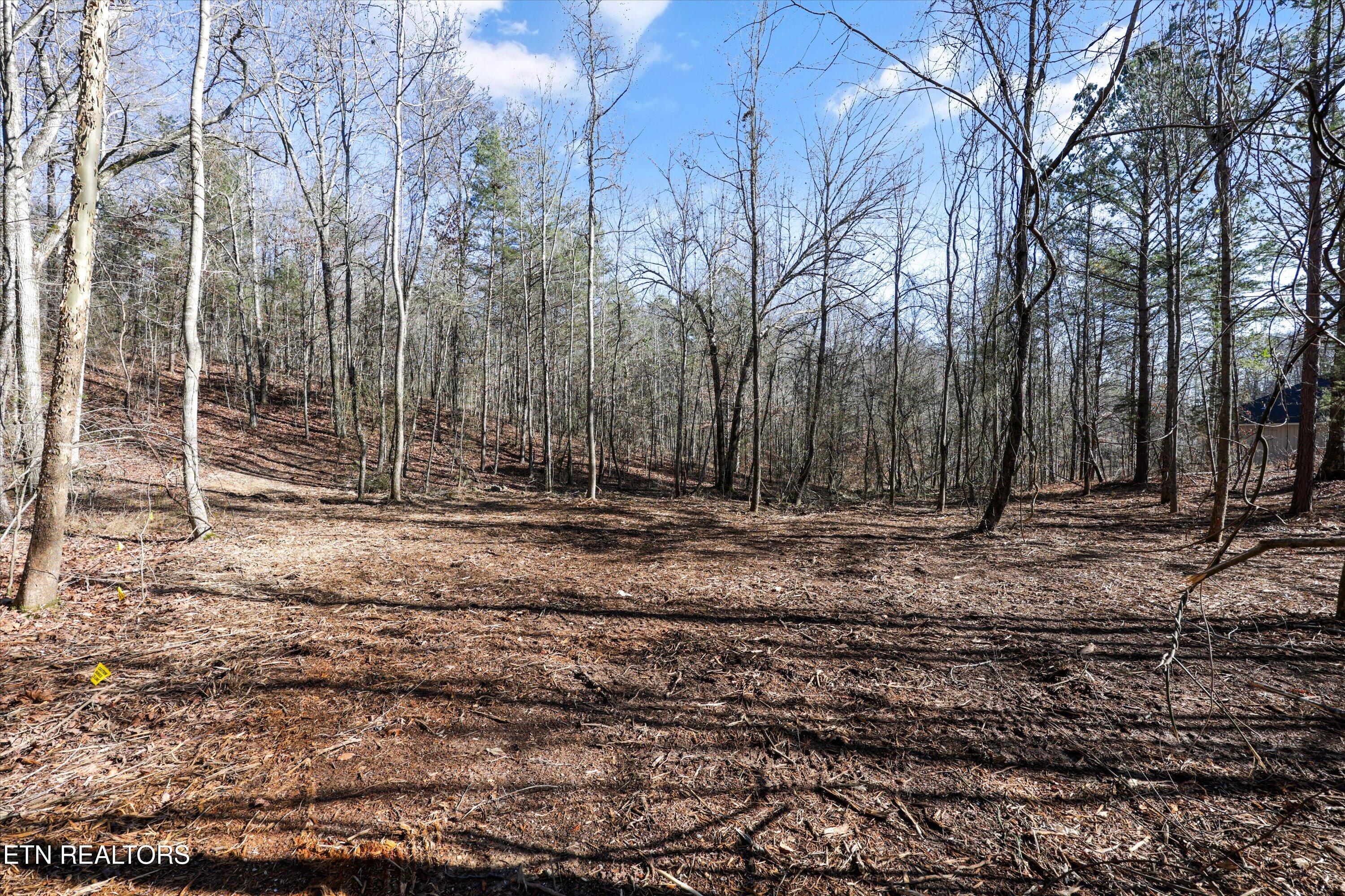 Sunrise Lane Decatur, TN 37322 - Photo 1 of 15 13-248 Sunrise Ln02