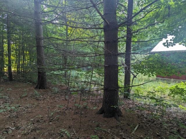 299 Adams Road Frankfort, MI 49635 - Photo 14 of 27