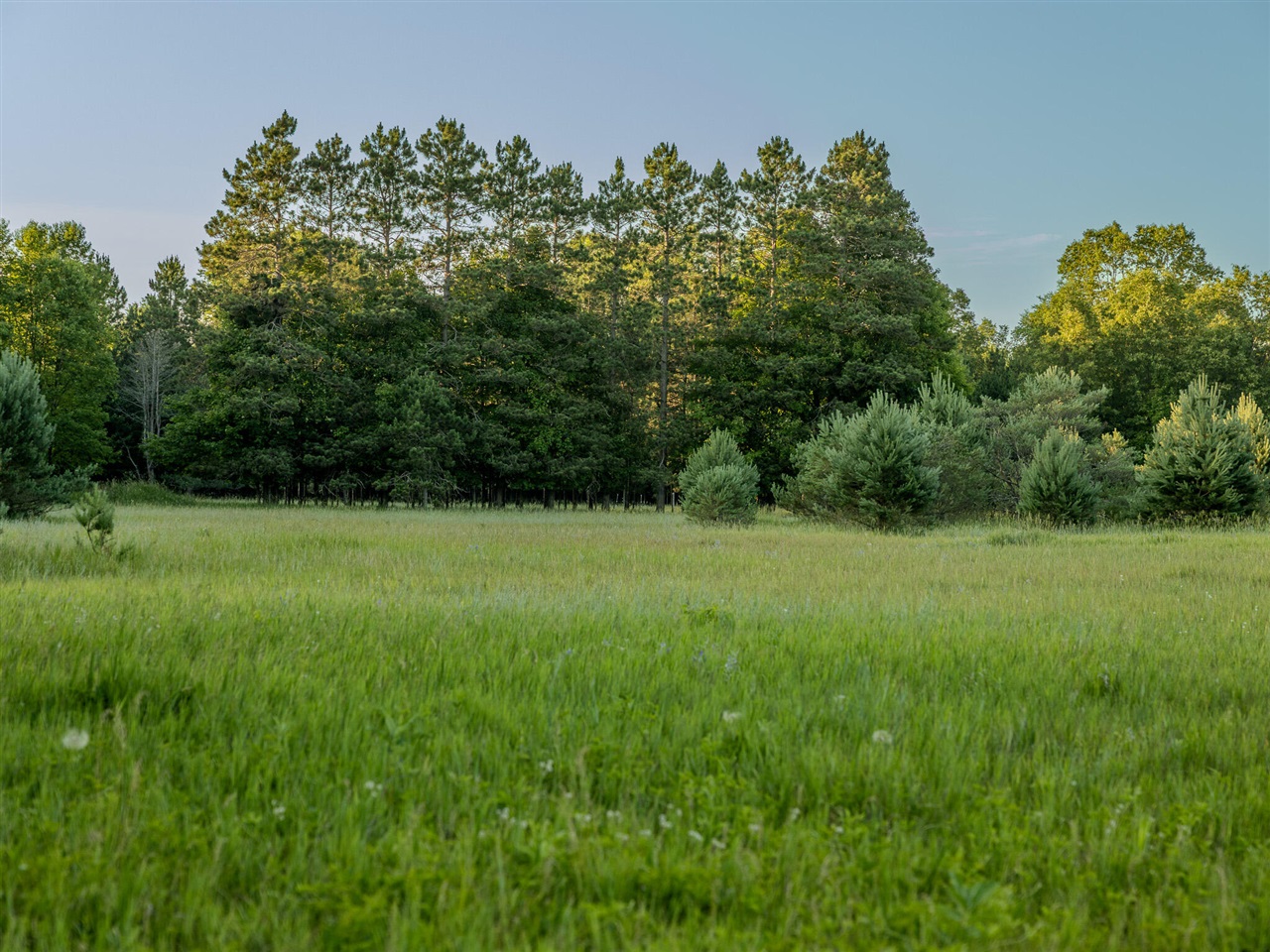 1 East Arthur Road Rothbury, MI 49452 - Photo 10 of 19