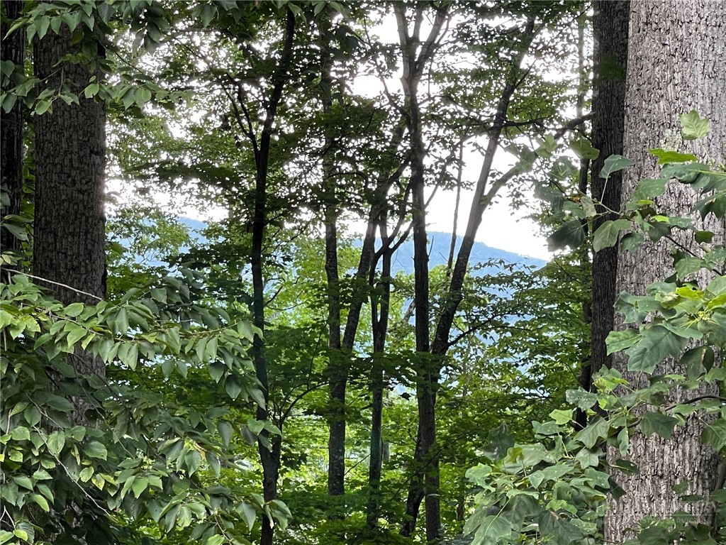 926 Pine Ridge Road Beech Mountain, NC 28604 - Photo 2 of 12