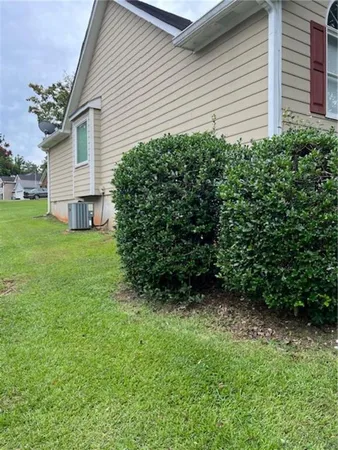 a view of a backyard with plants and large tree