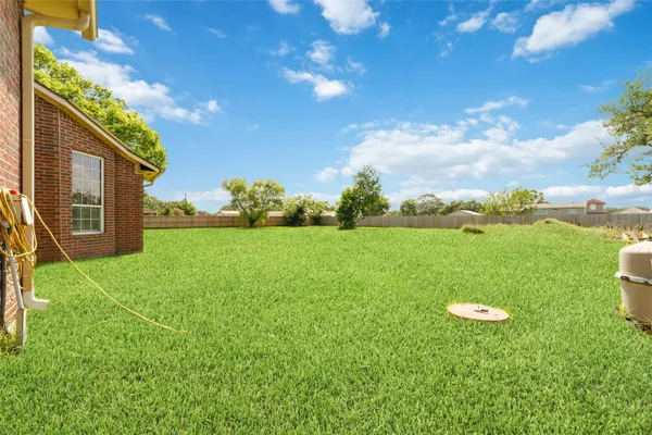 a view of a big yard with potted plants and large tree