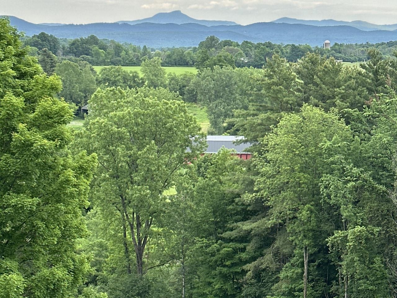 459 Carpenter Road Charlotte, VT 05445 - Photo 4 of 60