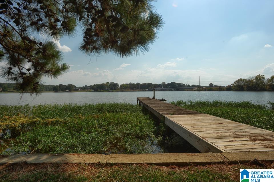2685 Rushing Springs Road Lincoln, AL 35096 - Photo 32 of 38