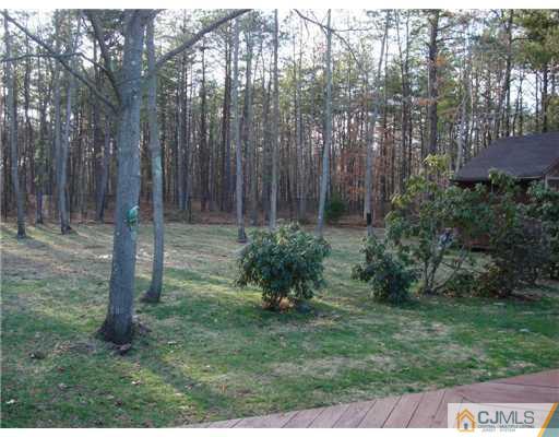 32 South Rhoda Street Monroe Township, NJ 08831 - Photo 18 of 20 a backyard of a house with lots of green space