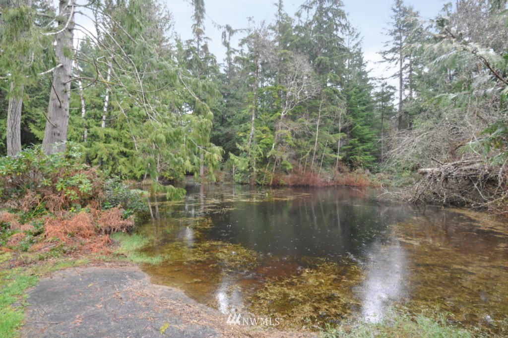 5725 Southeast Alpine Road Olalla, WA 98359 - Photo 15 of 15 Gallery Image 15