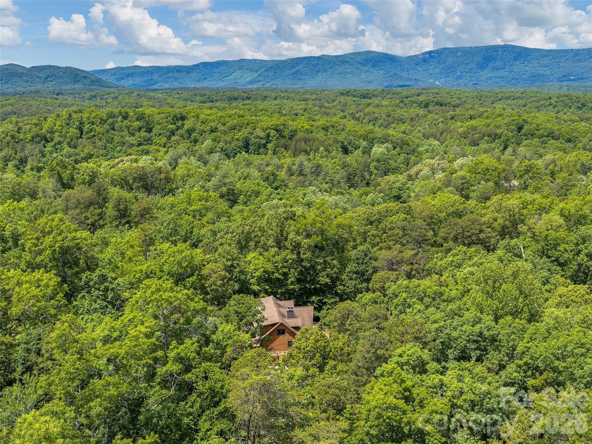 413 Green Hills Road Mill Spring, NC 28756 - Photo 47 of 48 a view of a field with an ocean view