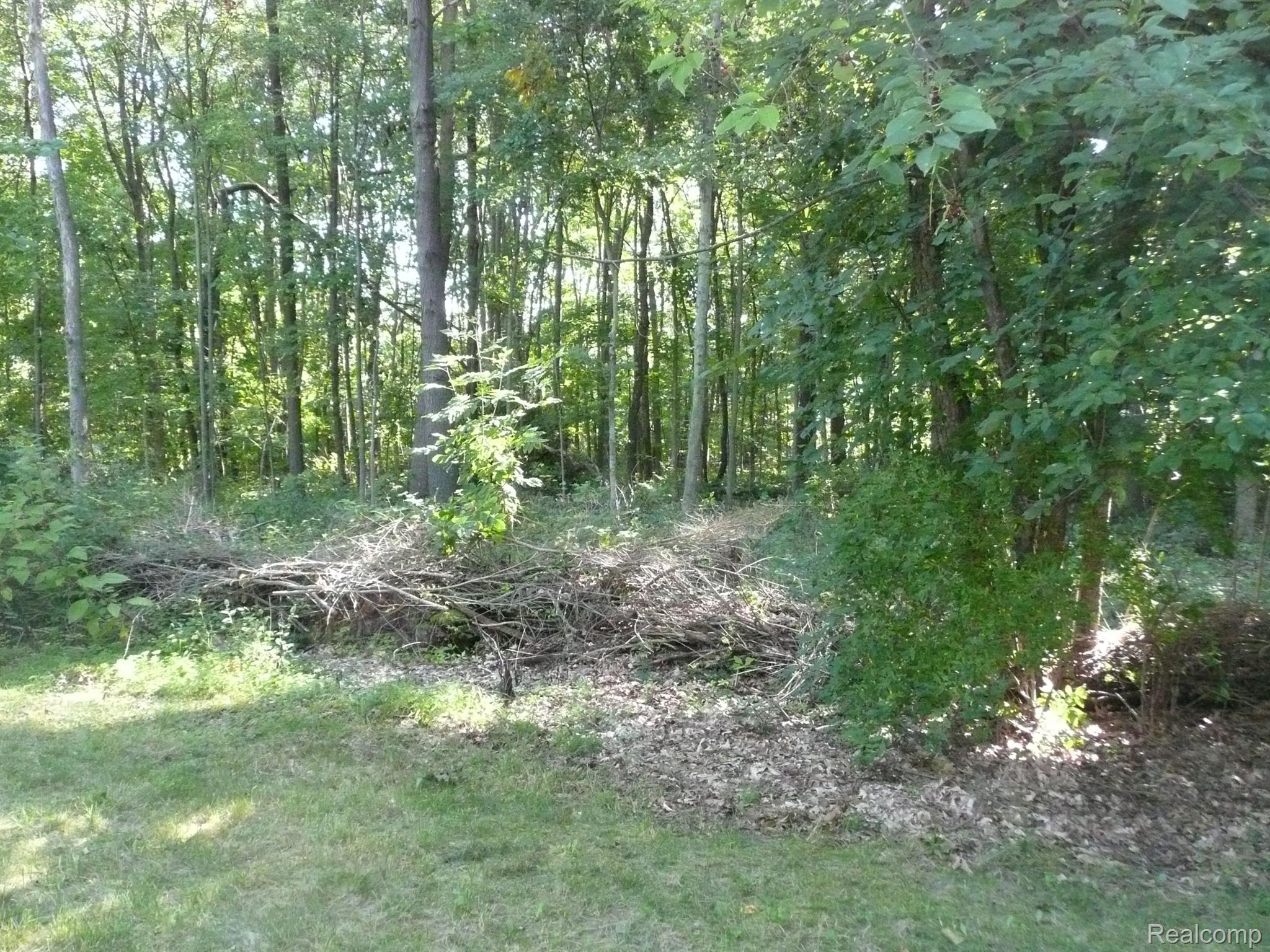 6016 Crandall Road Howell, MI 48855 - Photo 29 of 29 Backs to wooded area
