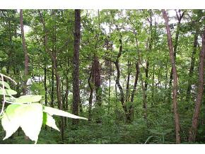 156 River Road Bluff City, TN 37618 - Photo 6 of 9 Photo 6