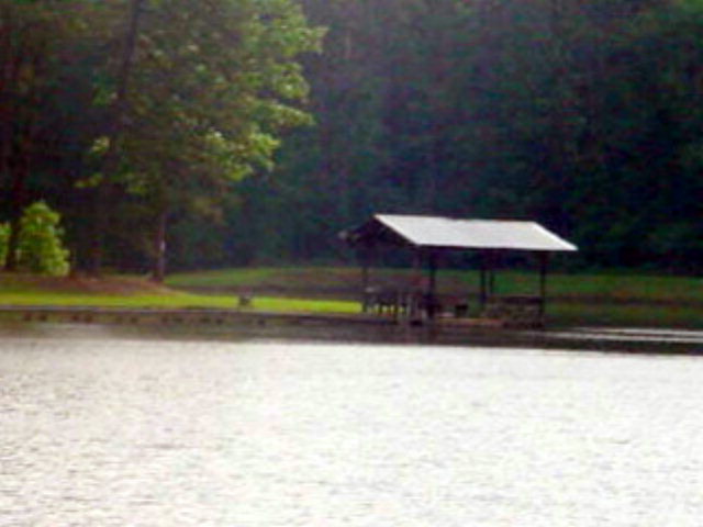 a small pool with a bench and trees