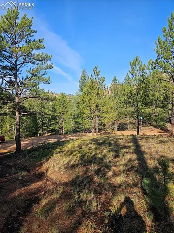 a view of a yard with plants and a building