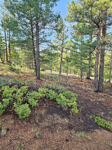 a view of outdoor space and trees
