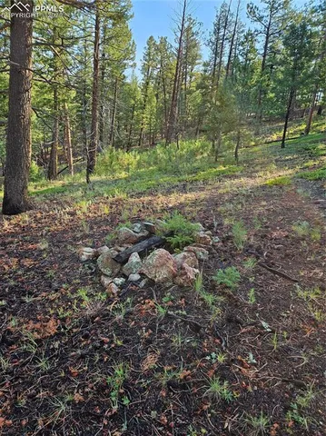 a view of outdoor space with trees all around