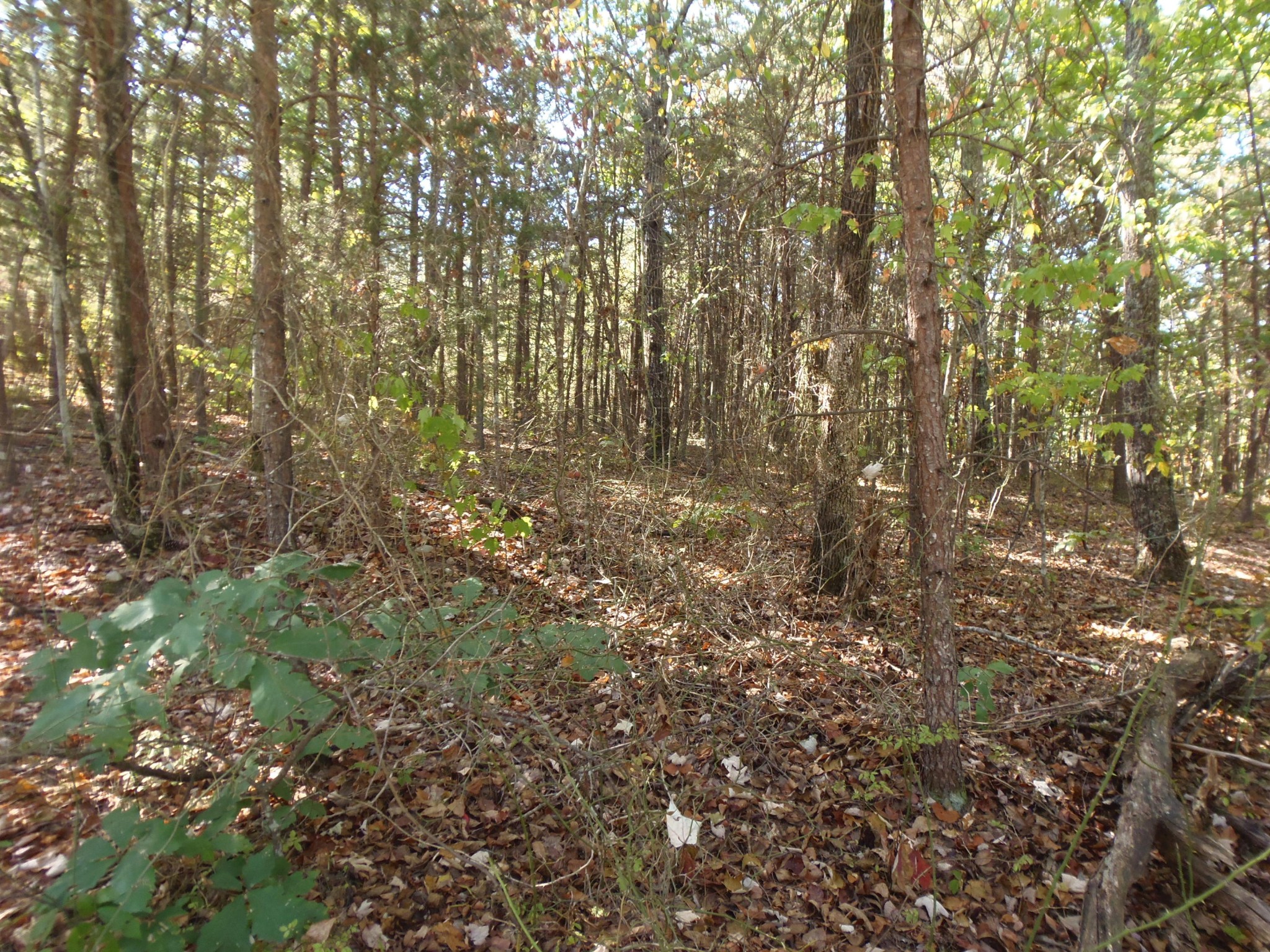 0 Eagle Ridge Road Maryville, TN 37803 - Photo 1 of 14 Gallery Image 1