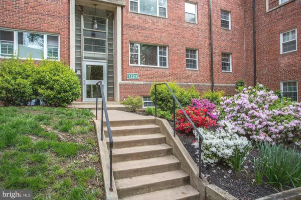 a view of a house with potted plants