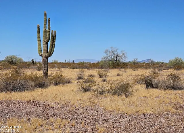 a view of a lake with a mountain in the background