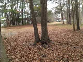 2330 Ashley River Road Charleston, SC 29414 - Photo 1 of 4 Primary Photo