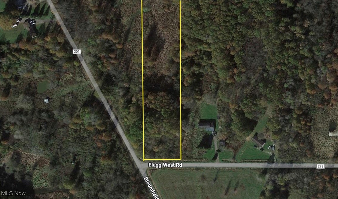 0 Flagg East Road Orwell, OH 44076 - Photo 3 of 3 Lines shown on the map are based on Trumbull County Auditor parcel data and are believed to be accurate, but should not be considered exact without a survey