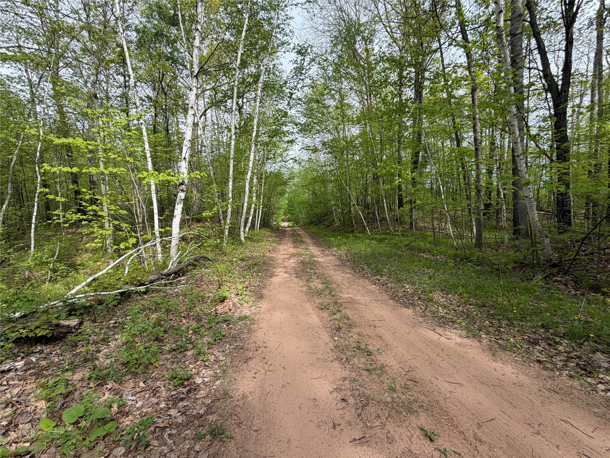 Lot 3 Peterson Road Holyoke, MN 55749 - Photo 7 of 7