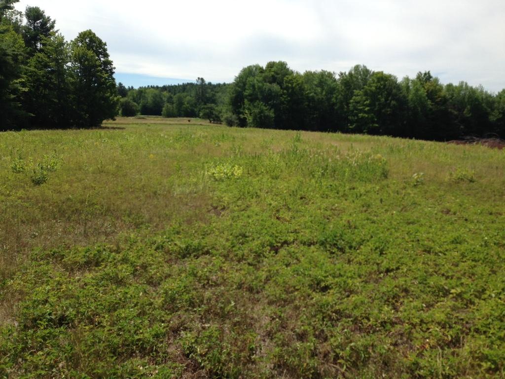2625 Highway 4A Springfield, NH 03284 - Photo 13 of 14