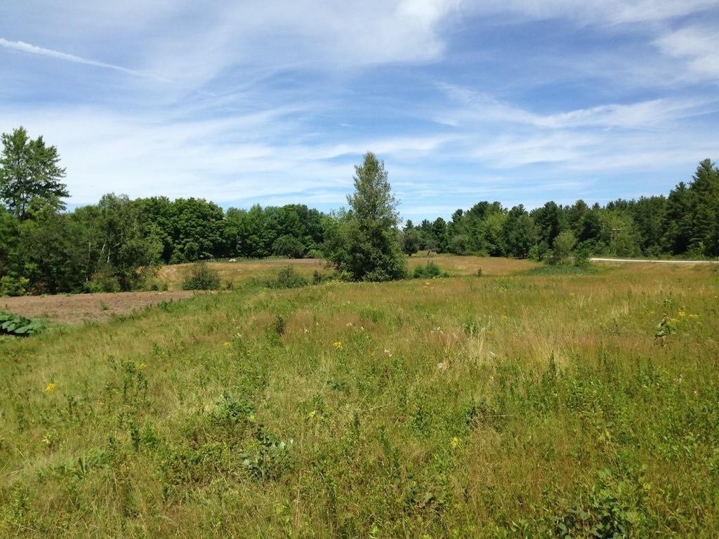 2625 Highway 4A Springfield, NH 03284 - Photo 3 of 14