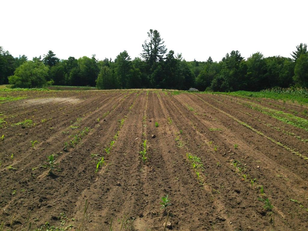 2625 Highway 4A Springfield, NH 03284 - Photo 7 of 14