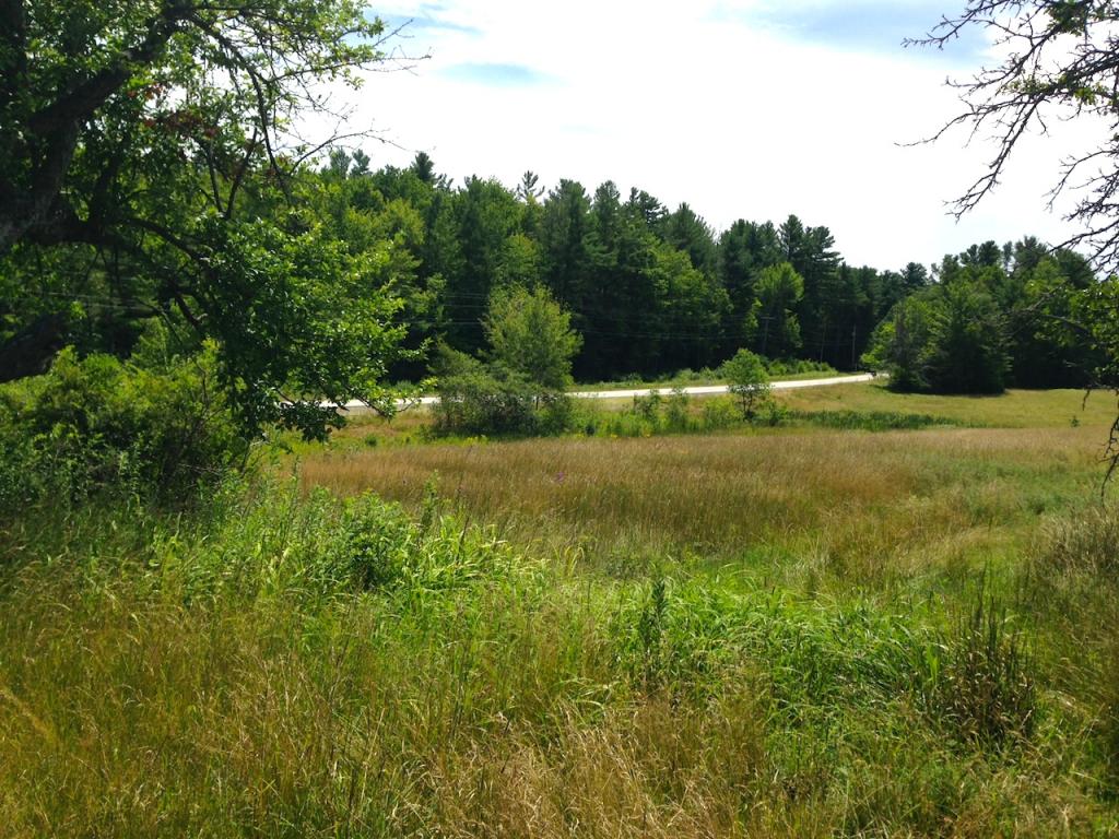 2625 Highway 4A Springfield, NH 03284 - Photo 8 of 14