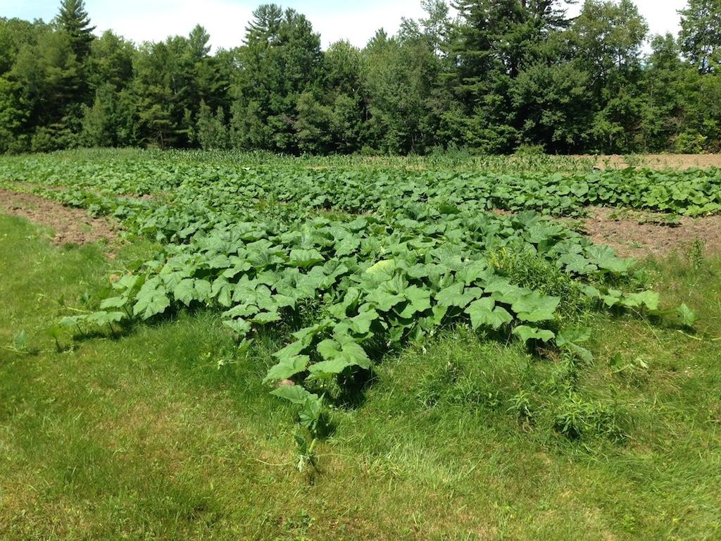 2625 Highway 4A Springfield, NH 03284 - Photo 9 of 14