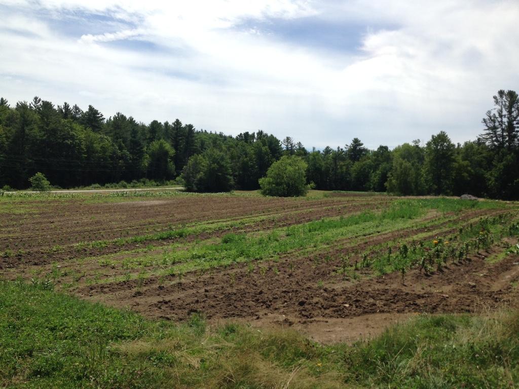2625 Highway 4A Springfield, NH 03284 - Photo 10 of 14