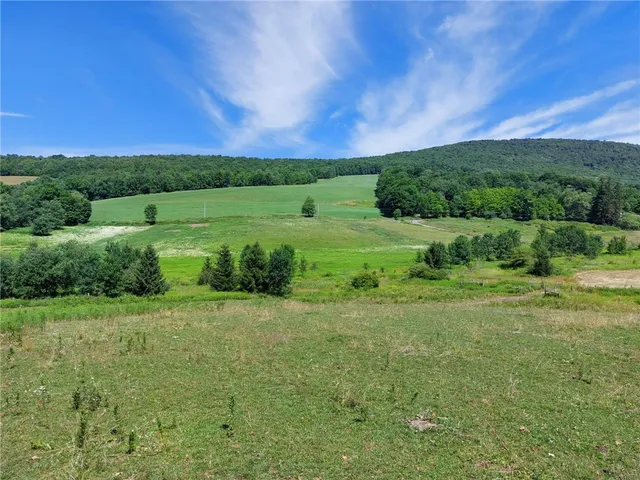 $550,000 | 834 Crescent Valley Road, Bovina, NY 13740