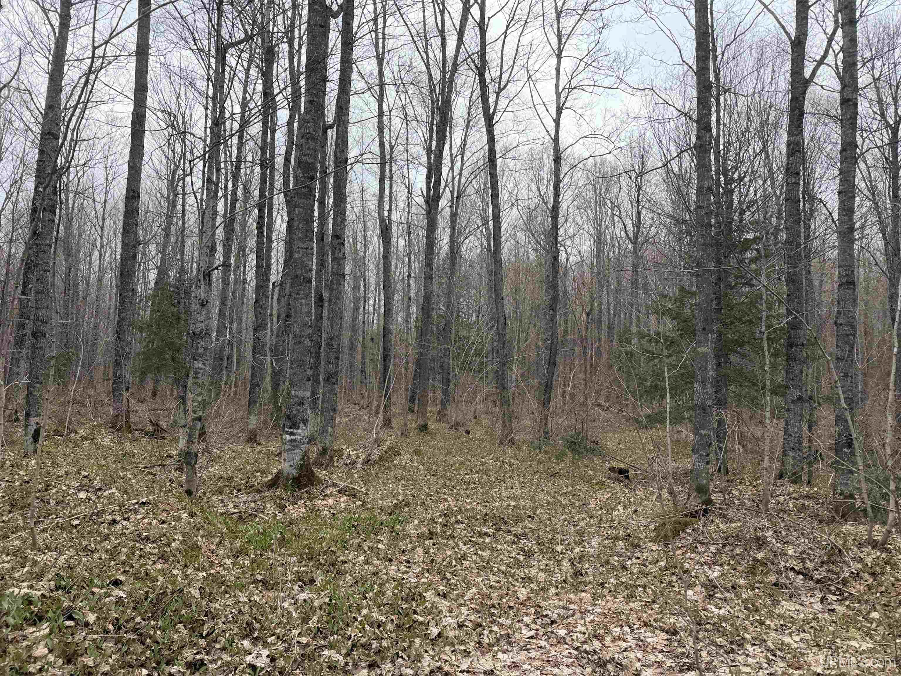 Tbd Lake Road Ironwood, MI 49938 - Photo 22 of 31