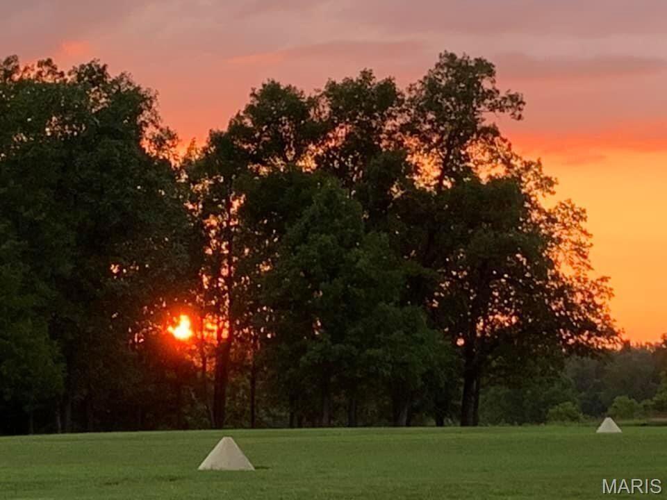 0 M- Lane Mountain Grove, MO 65711 - Photo 3 of 5