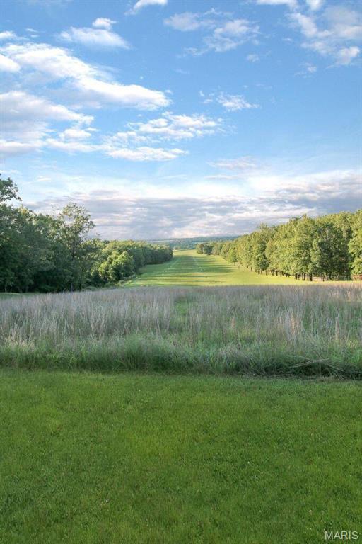 0 M- Lane Mountain Grove, MO 65711 - Photo 4 of 5