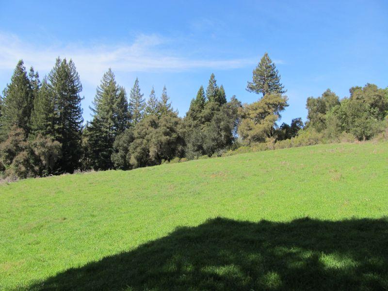 0 Two Two Bar Road Boulder Creek, CA 95006 - Photo 21 of 70 Gallery Image 21