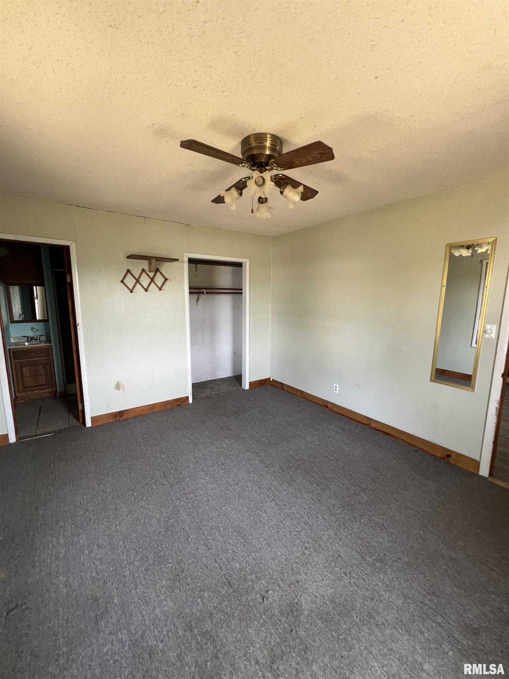 10623 West Center Road Mulkeytown, IL 62865 - Photo 13 of 39