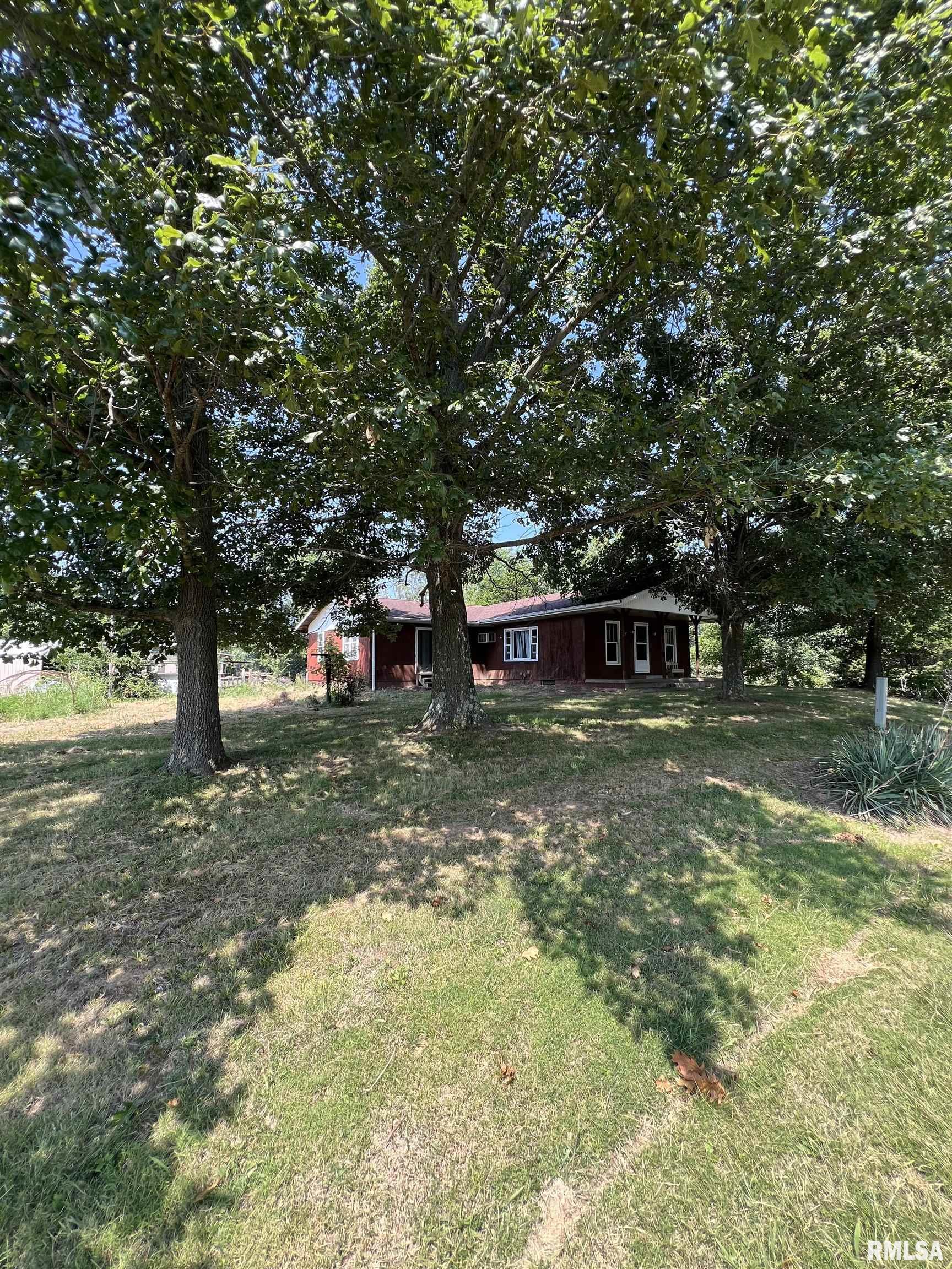10623 West Center Road Mulkeytown, IL 62865 - Photo 3 of 39