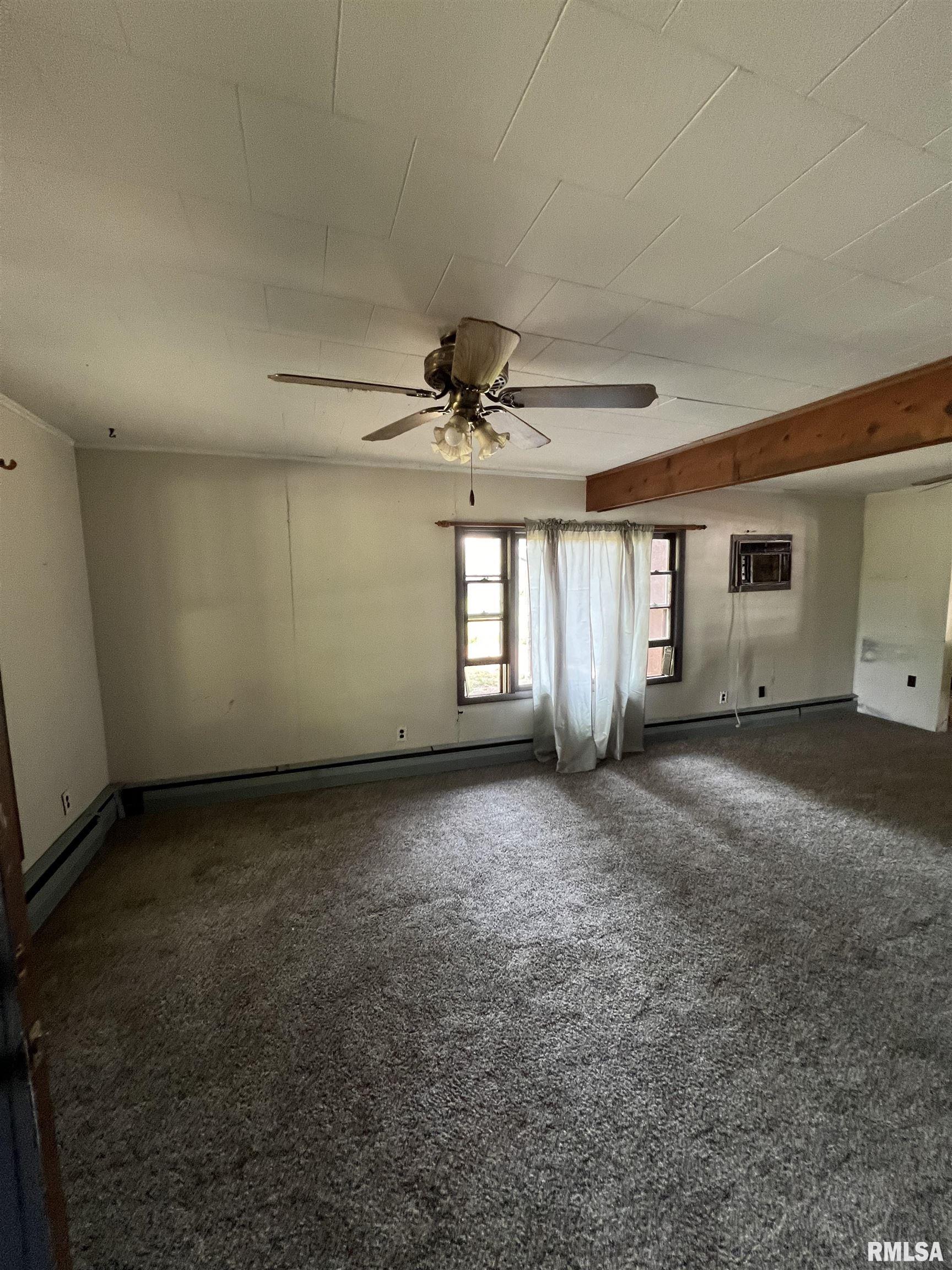 10623 West Center Road Mulkeytown, IL 62865 - Photo 4 of 39