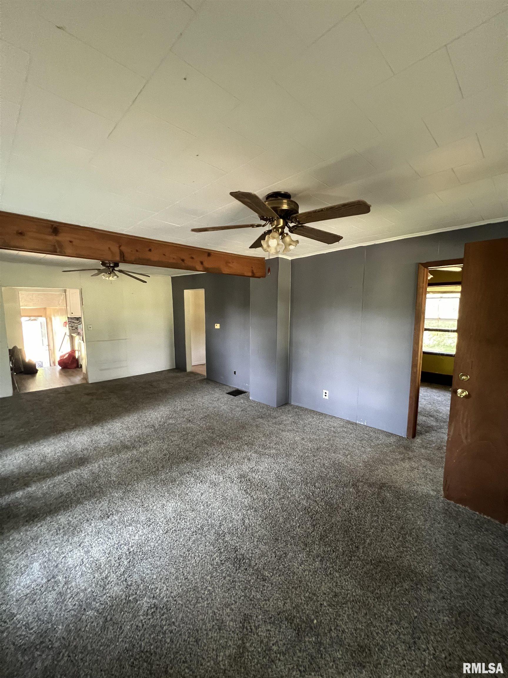 10623 West Center Road Mulkeytown, IL 62865 - Photo 6 of 39
