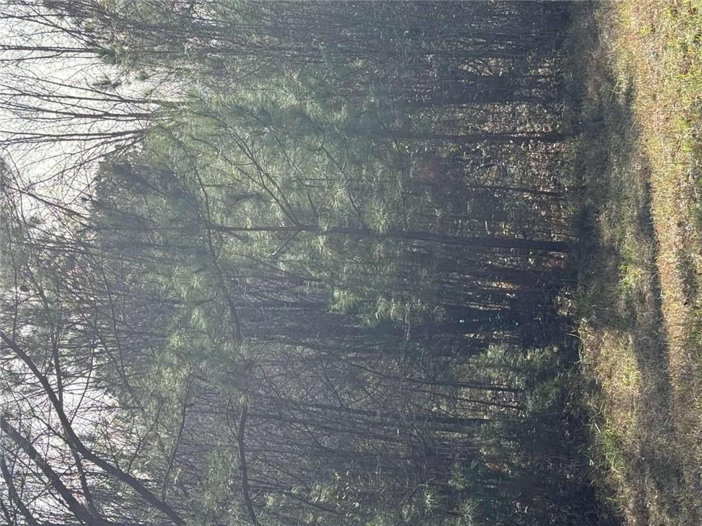 13905 Brown Bridge Road Covington, GA 30016 - Photo 2 of 3 a view of a yard