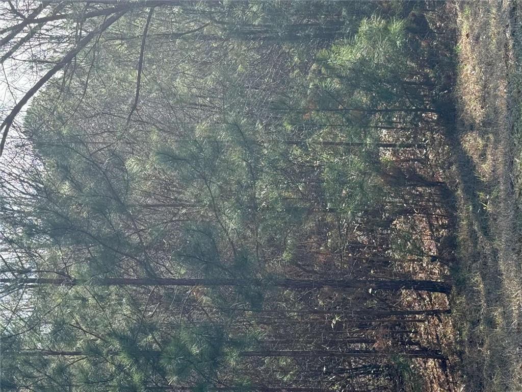 13905 Brown Bridge Road Covington, GA 30016 - Photo 3 of 3 a view of a forest with large trees