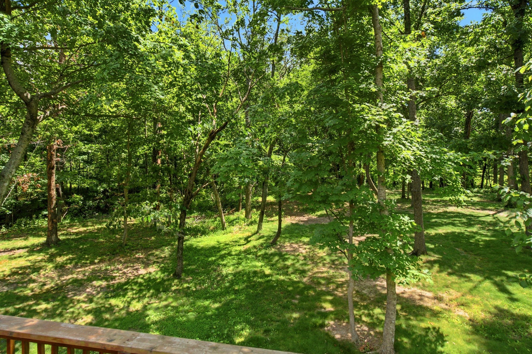 4423 Taylor Road Springfield, TN 37172 - Photo 47 of 53