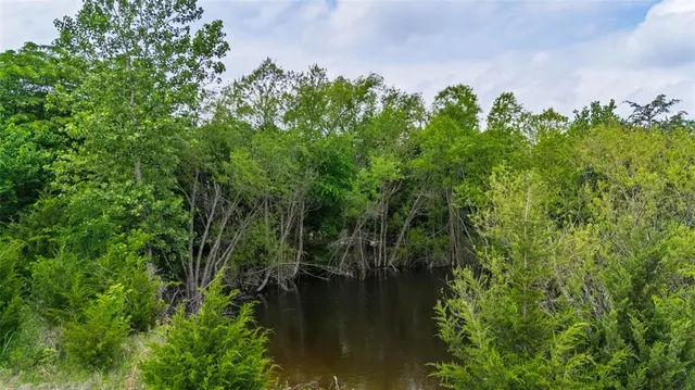 a view of a lake with a tree