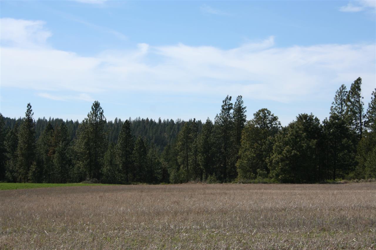 1200 West Half Moon Road, Unit LOT B Colbert, WA 99005 - Photo 1 of 20
