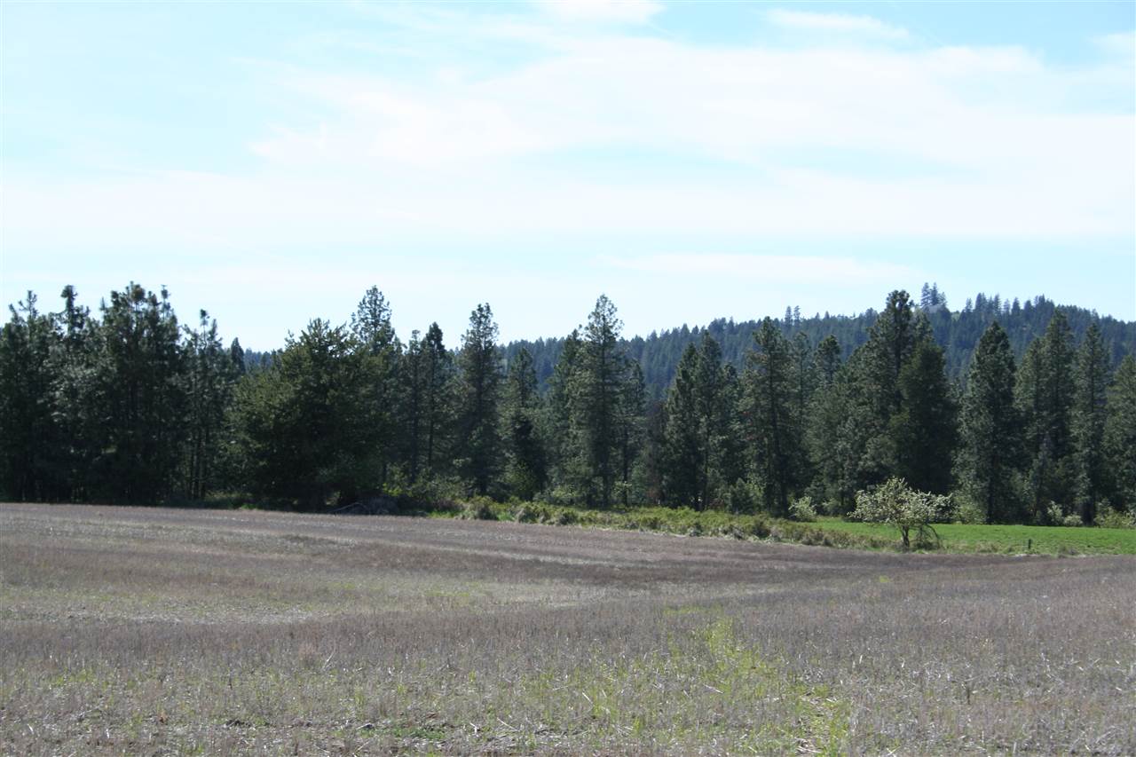 1200 West Half Moon Road, Unit LOT B Colbert, WA 99005 - Photo 2 of 20